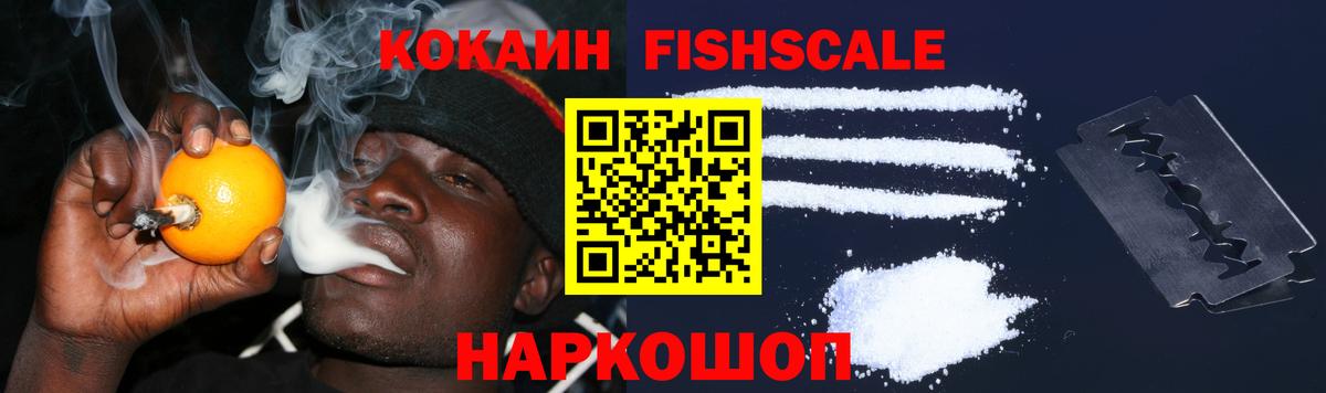 Красноармейск  COCAIN Fish Scale  Вход с VPN 